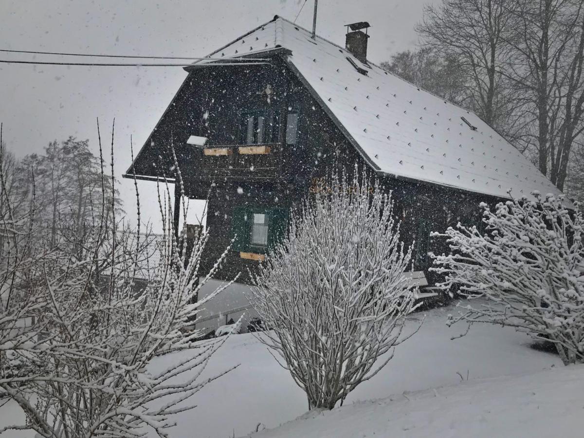Apartmán Ferienhuette Simon Gregor Eitweg Exteriér fotografie