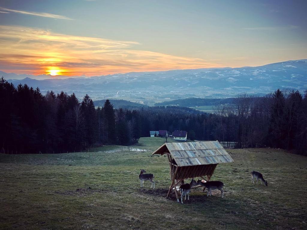 Apartmán Ferienhuette Simon Gregor Eitweg Exteriér fotografie